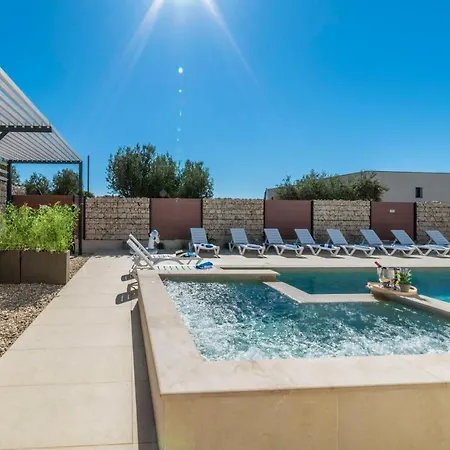 Pinna - Supin * Pula