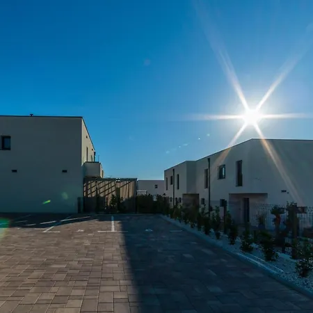 Pinna - Supin * بولا