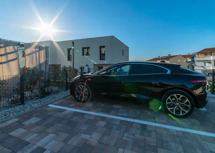 Pinna - Supin * بولا