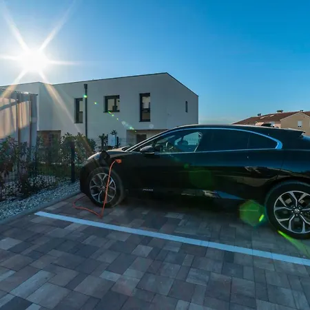 Pinna - Supin * 풀라